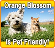 Orange Blossom KOA is Pet Friendly!